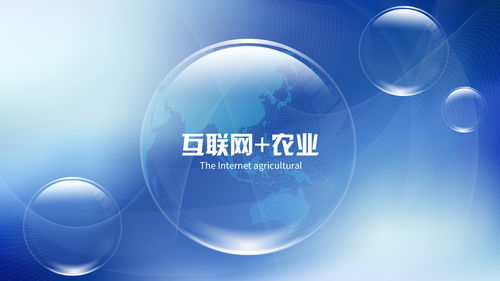 發(fā)掘生活創(chuàng)業(yè)商機 網(wǎng)絡技術領域的巨大潛力